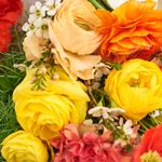 Carrie Elizabeth Hirsch - @loveflowerpower_essentialoils - Instagram