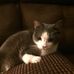Carrie Stalter Hiser - Facebook