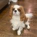 Carrie Hoff - Facebook