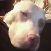 Carrie Hoff - @carrie.hoff - TikTok