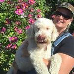 Premier Truffles Carrie Hogan - @hogan.carrie - Instagram
