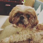 Carrie Hogan McClear - @care872 - Instagram