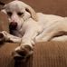 Carrie Anne Hoke - Facebook