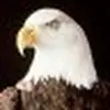 Carrie Holcomb766 - @carrielouise_ - TikTok
