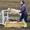 Carrie Holcomb - @carrie.holcomb - TikTok