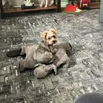 Carrie Holman Bolack - @buzy103 - Instagram