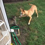 Carrie Holt - @carrieholt620 - Instagram