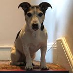 Carrie Holt - @carrie.holt.50 - Instagram