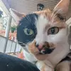 Carrie - @carrieshook - TikTok