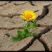 Neal &amp; Carrie: Hope in Recovery - Facebook