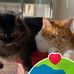 Carolyn Hopp - Facebook