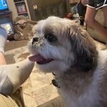 Carrie Hoppe - @carrie.hoppe.33 - Instagram