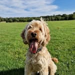Carrie Hudson - @carrie.anne.hudson - Instagram