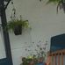 Carrie Ingram - Facebook