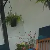 carrieingram21 - @carrieingram21 - TikTok