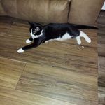 Carrie Jacobs - @carrieanna2022 - Instagram