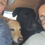 Carolyn Keane - @carrieke - Instagram