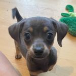 Carrie Kidd - @carrie.kidd.5 - Instagram