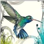 Carrie Knowles-Atkinson - @hummingbird_silver - Instagram