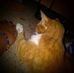 Carrie LeMaster - Facebook