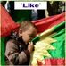 Qeerroo Leemman - Facebook