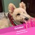 Carrie Levine - Facebook