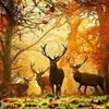 Carrie Locklear - @carrie.locklear3 - TikTok