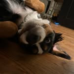 Carrie Lowe - @carriellowe73 - Instagram