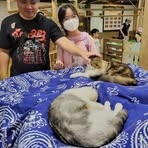 Carrie Luk - Facebook