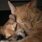 Carrie Lyons - @carrielyons7741 - Instagram