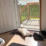 Carrie Lippincott - Facebook