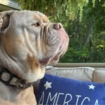 Carrie Mackey Guiher - @mackeyguiher - Instagram