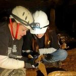 Carrie Mackey Hammond - @paleovishology - Instagram