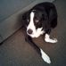 Kerri Makris - Facebook