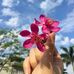 Gurya Malik - Facebook