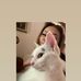 Karrie Mahloch - Facebook