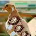 Malan Karah - Facebook