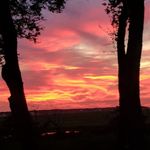 Carrie Mancuso - @carrie.mancuso.545 - Instagram