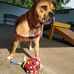 Carrie Maness - Facebook
