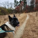Carrie Mansfield - @wheelsolias - Instagram