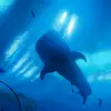 Caroline Mantooth - @caroline.mantooth - TikTok
