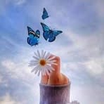 Caroline Mantooth - Facebook