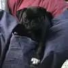 Carrie Manuel Stalter - @carrie.manuel.sta - TikTok