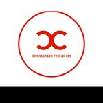 Carrie / Marcus Blackwell - @crosscreekfrenchies - Instagram