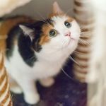 carrie mure marino - @1kittencarrie1 - Instagram
