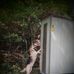 Carrie Markey - Facebook