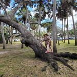 Carrie Addaline Marks - @fairiecarrie - Instagram