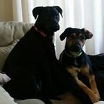 Carrie Marks - @zena1647 - Instagram