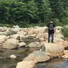 Carrie Piccinati Marlin - @31033403381 - TikTok