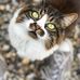 Carrie Marlow - Facebook